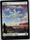 Plains