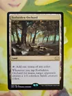 Forbidden Orchard