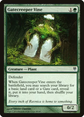 Whip Vine