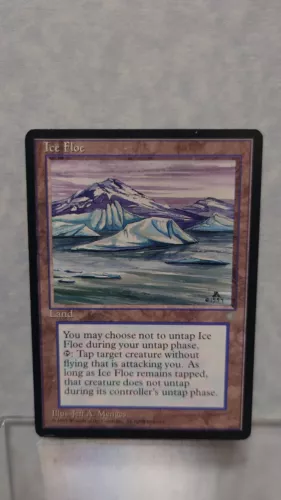 Ice Floe
