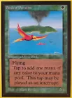 Birds of Paradise