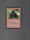 Kird Ape
