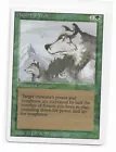 Aspect of Wolf