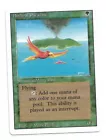 Birds of Paradise