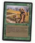 Citanul Druid