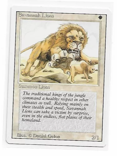 Savannah Lions