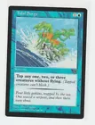 Tidal Surge