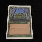 Tranquil Grove