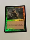 Grizzly Bears