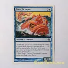Giant Octopus