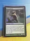 Grizzly Bears