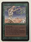 Shanodin Dryads