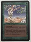 Shanodin Dryads