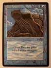 Giant Tortoise