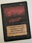 Cursed Land