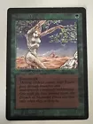 Shanodin Dryads