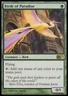 Birds of Paradise