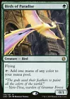 Birds of Paradise #