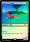 Birds of Paradise
