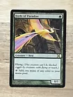 Birds of Paradise