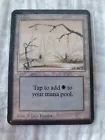 Swamp