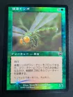 Noxious Dragon
