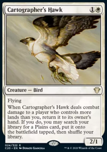Cartographer's Hawk #