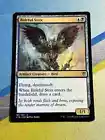 Baleful Strix
