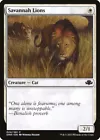 Savannah Lions