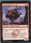 Dragonlord's Servant