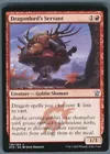 Dragonlord's Servant