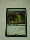 Druid of Purification #