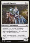 Steadfast Paladin