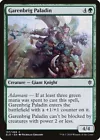 Steadfast Paladin