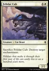 Felidar Cub