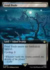 Fetid Pools [Extended Art] #