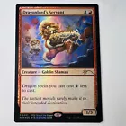 Dragonlord's Servant