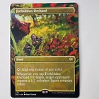 Forbidden Orchard