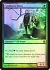Fyndhorn Elves
