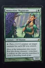 Immaculate Magistrate