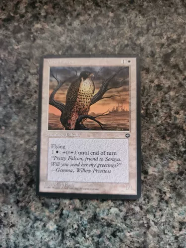 Mesa Falcon