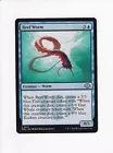Reef Worm