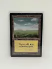 Plains