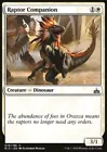Raptor Companion