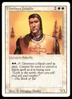 Northern Paladin