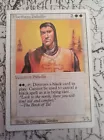 Northern Paladin