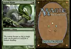 Scaled Wurm
