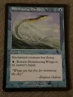 Shimmering Wings