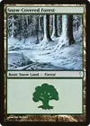 Snow-Covered Forest