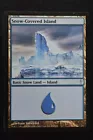 Snow-Covered Island